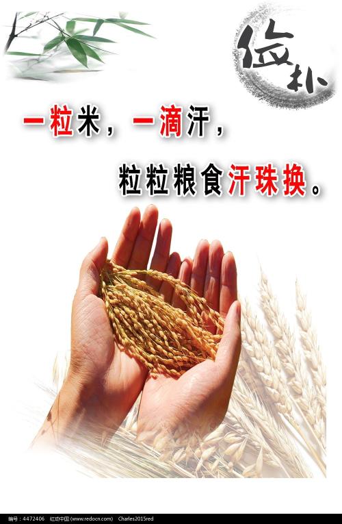 怎么买鲍德温华莱士大学文凭